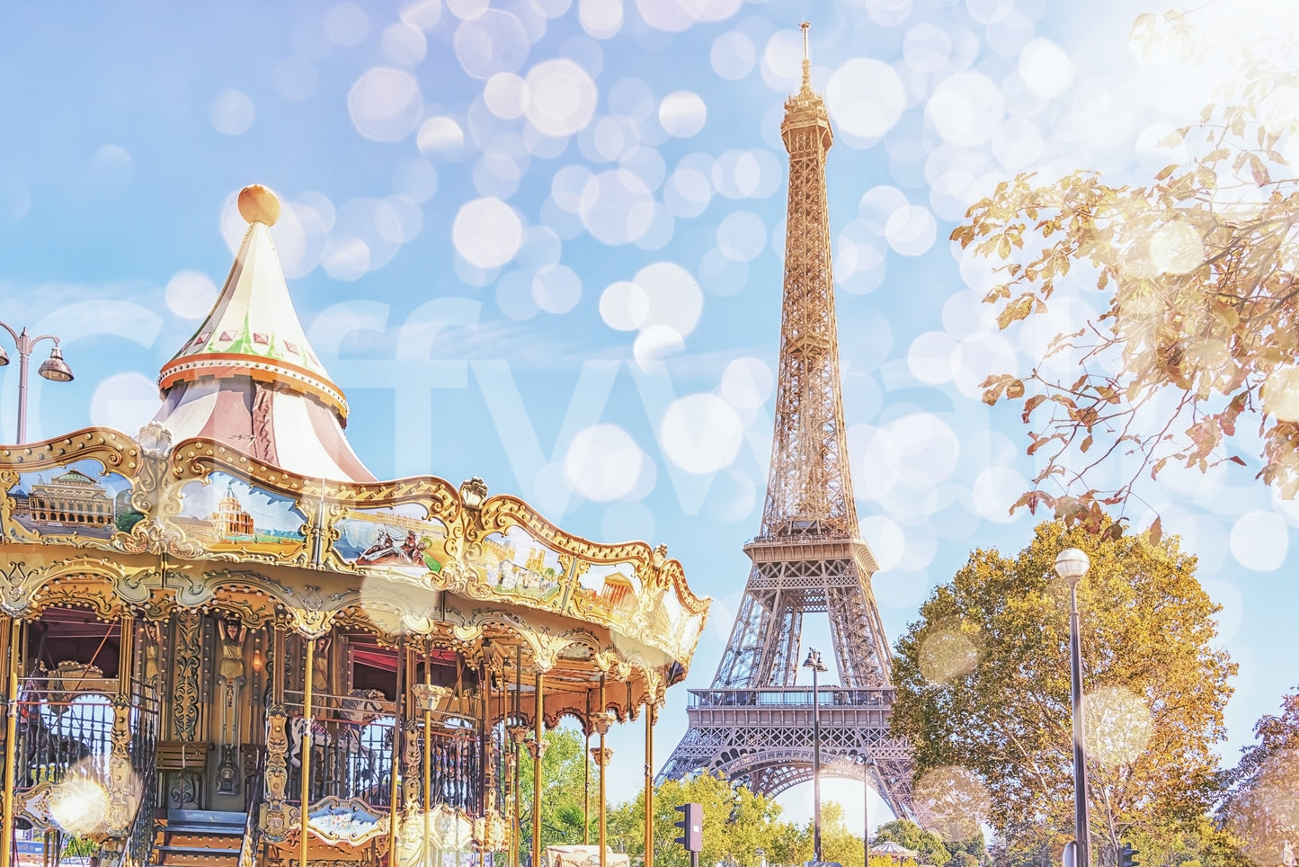 Parisian Carousel Dream Wall Mural