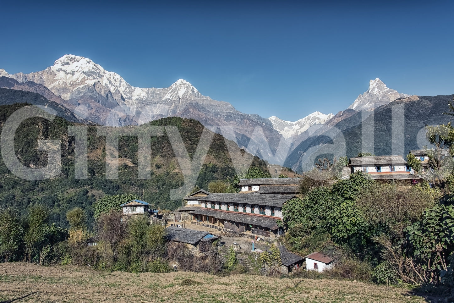 Himalayan Heights Wall Mural