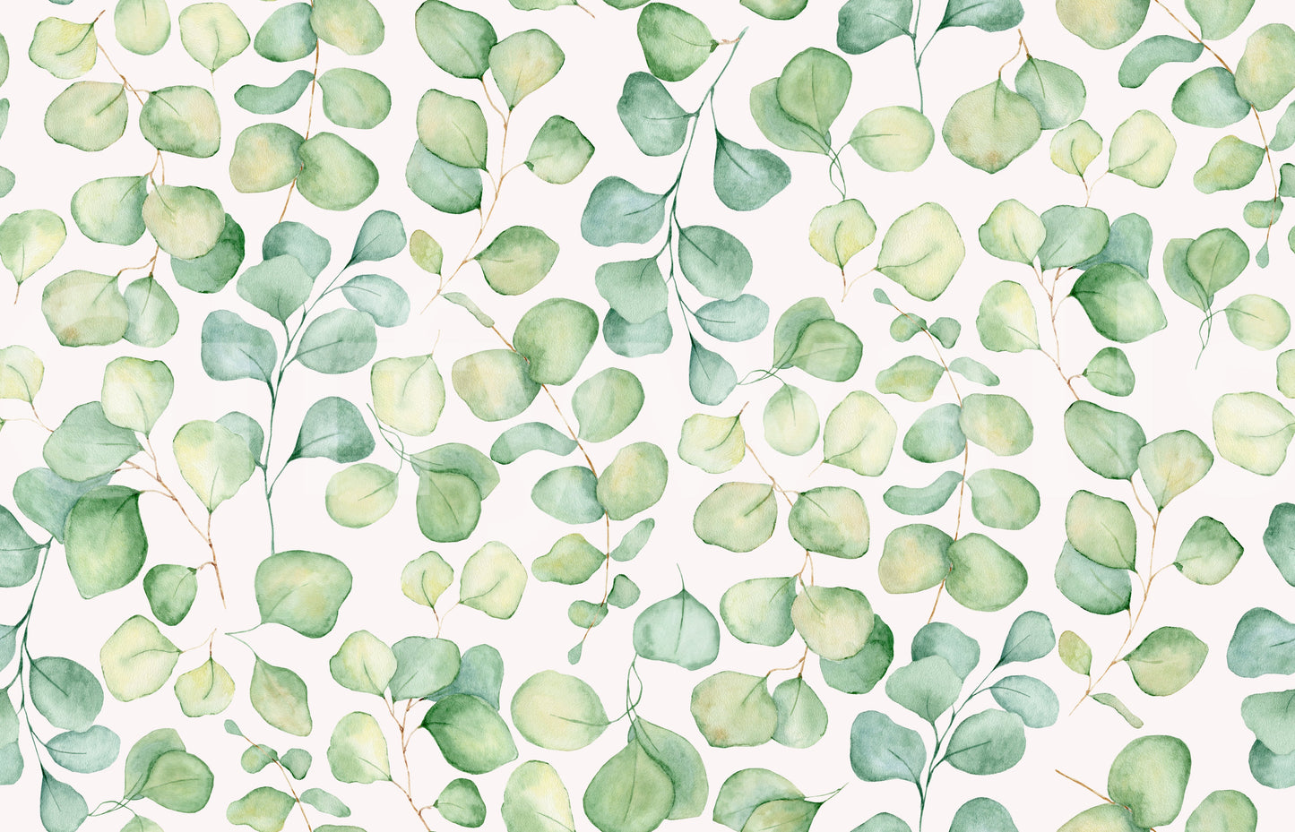 Eucalyptus Dream Garden Wallpaper