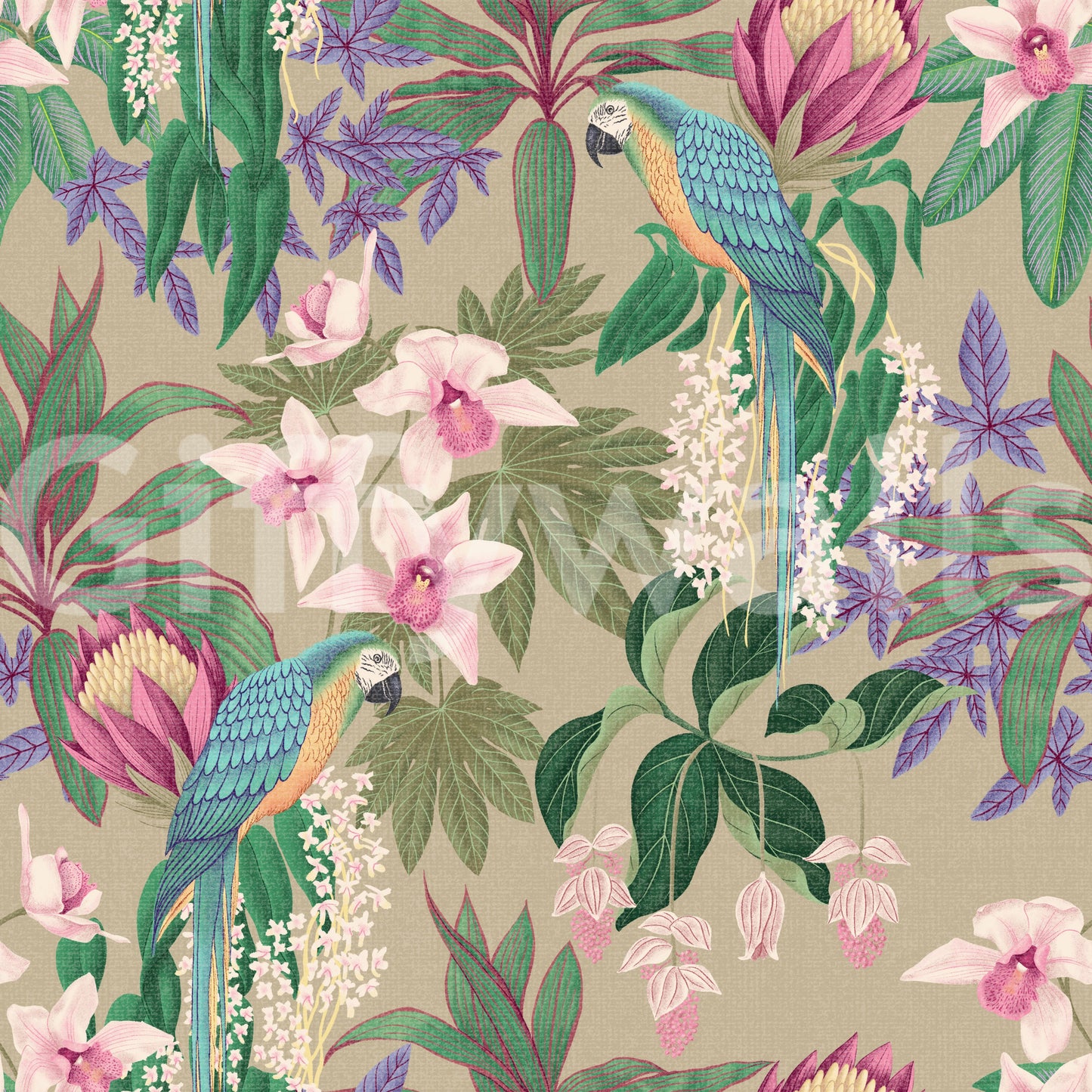 Macaw and orchid wallpaper with tropical parrots and pink florals., GD10013