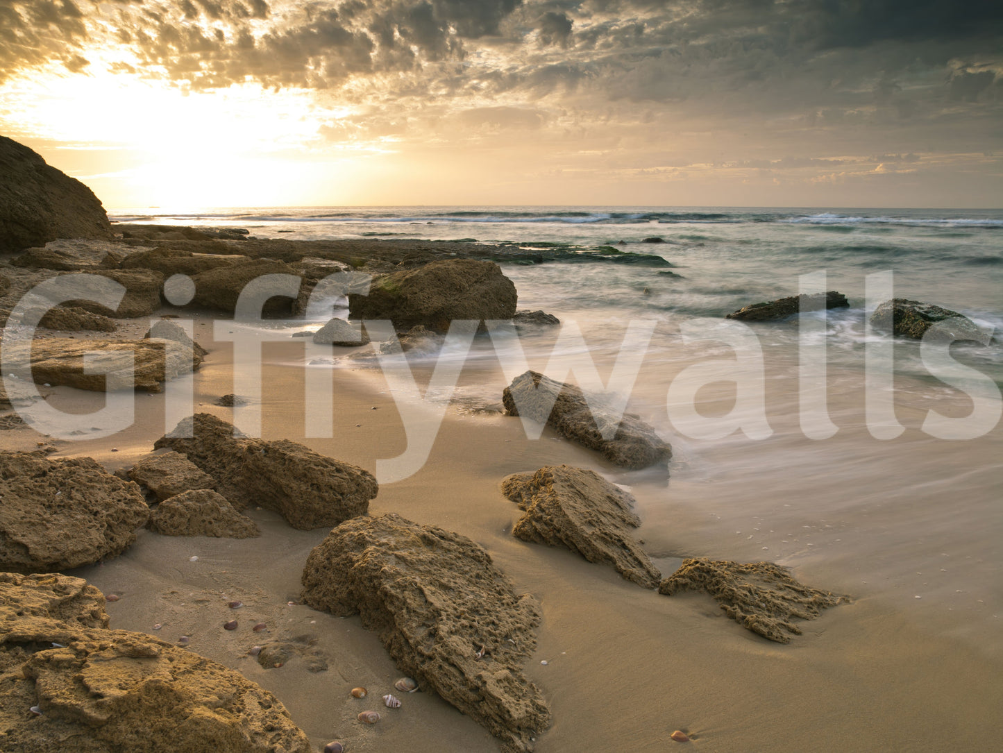 Golden Quiet Shore Wall Mural