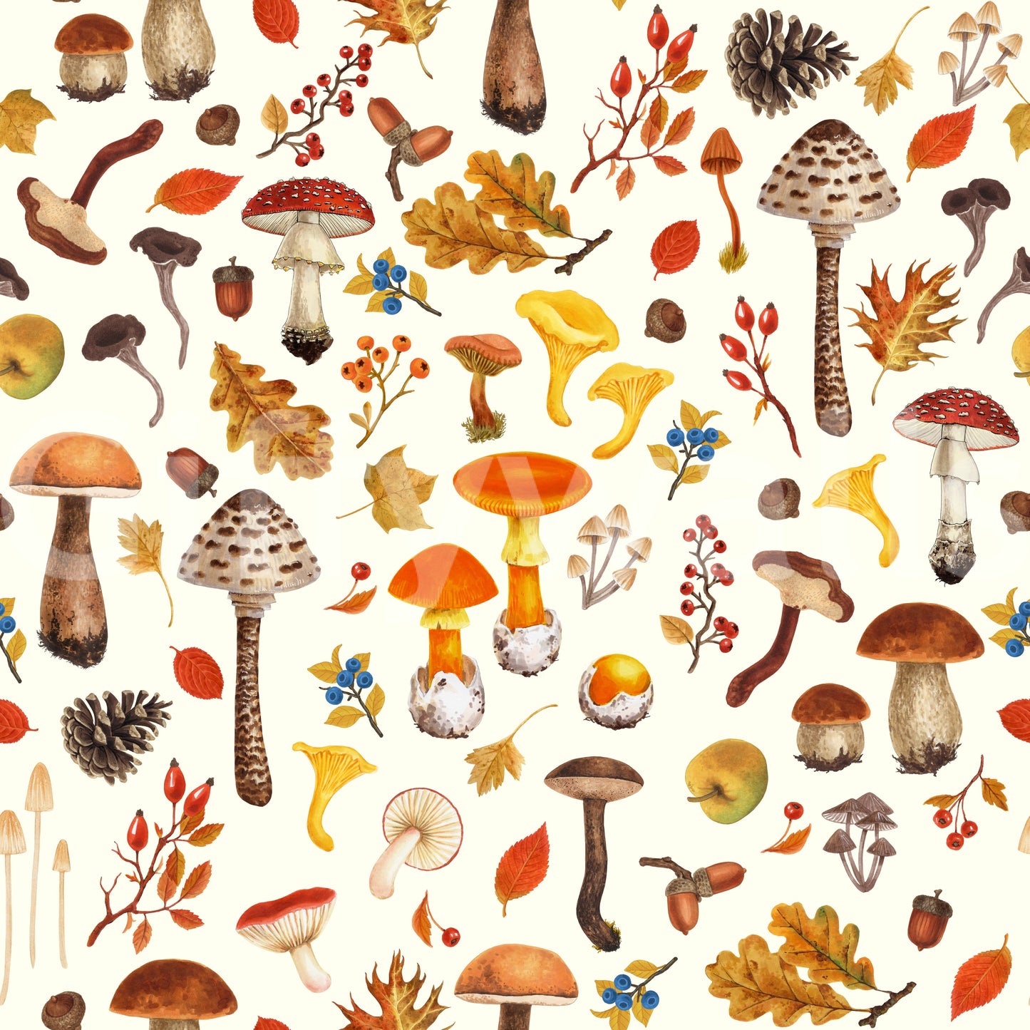 Wild mushrooms on off white Wallpaper