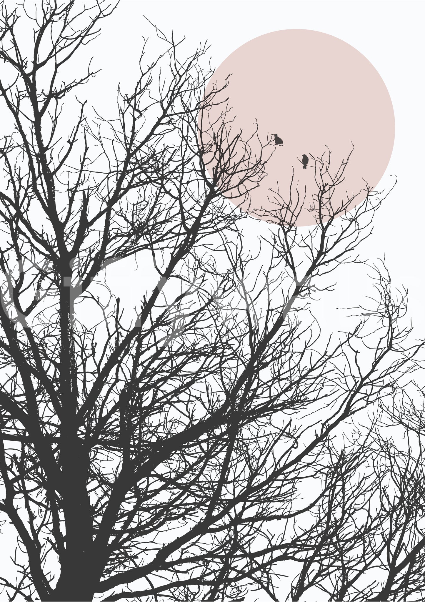 Conversation at dawn wall mural with charcoal branches and blush sun., GD10289