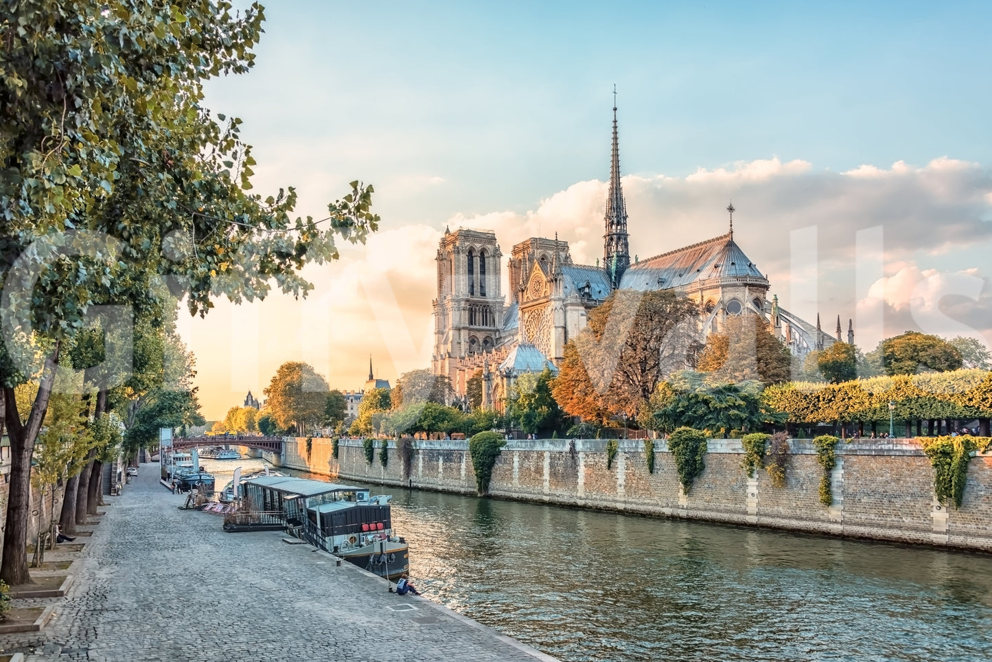 Seine Reverie at Sunset Wall Mural