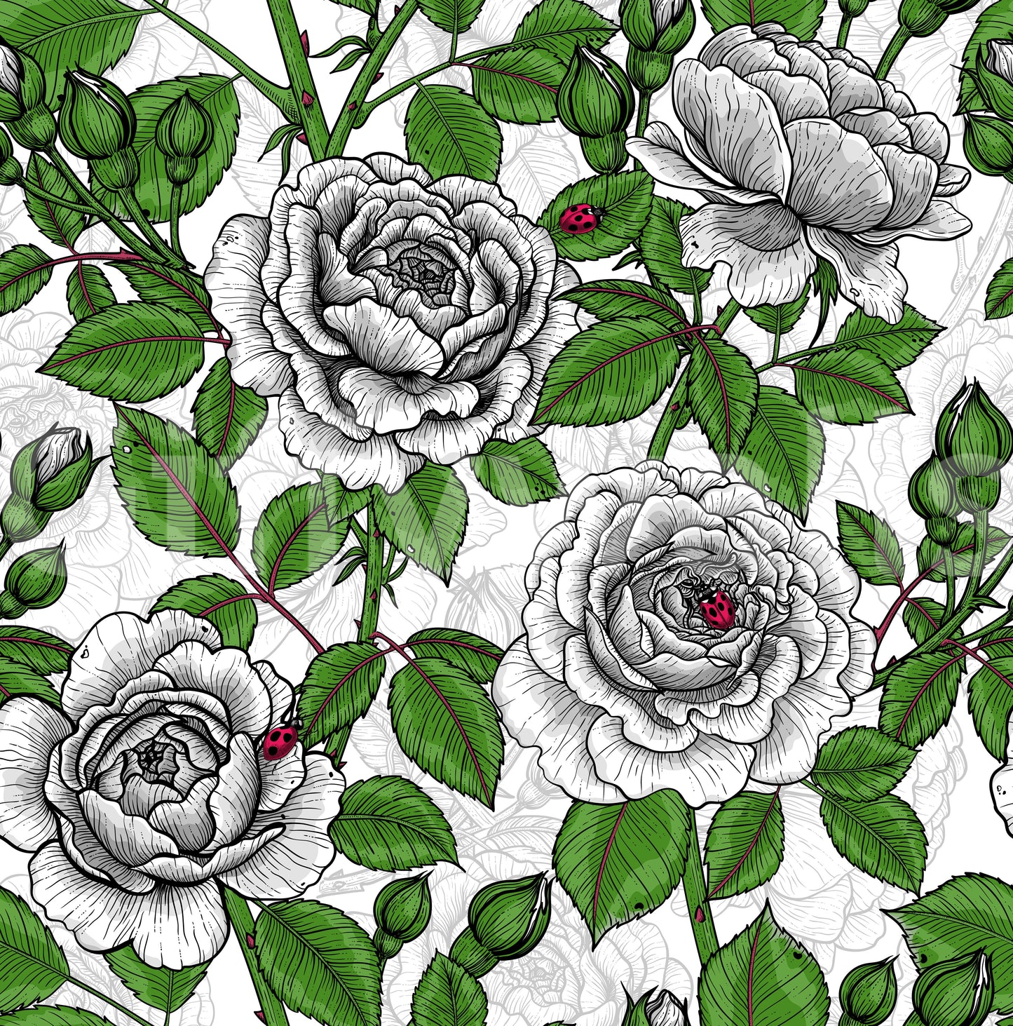 White rose garden wallpaper with monochrome blooms and green leaves on white., GD10398