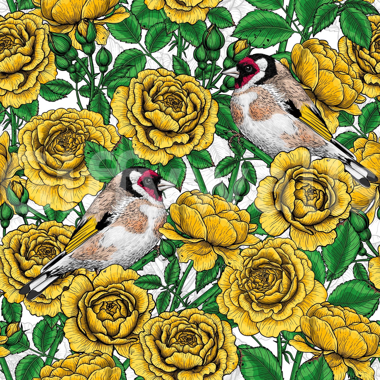Illustrated yellow roses with European goldfinch birds wallpaper on white background., GD10401