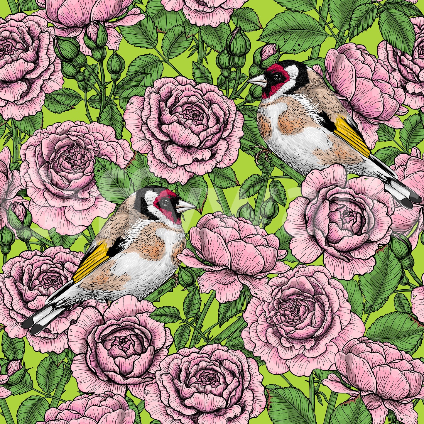 Dark green foliage pattern wallpaper with Illustrated goldfinch birds among soft pink roses., GD10402