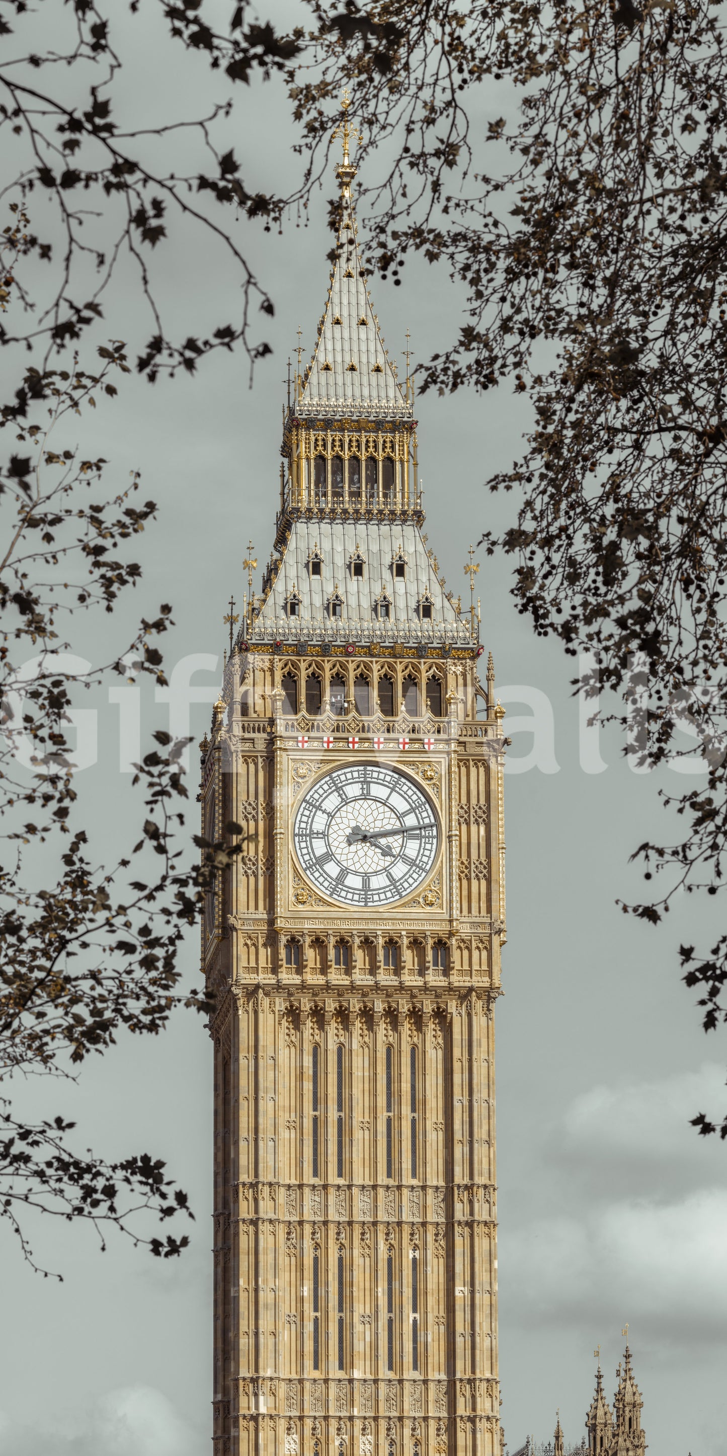 London's grand watch wall mural with Big Ben tower in golden-beige stonework., GD10461