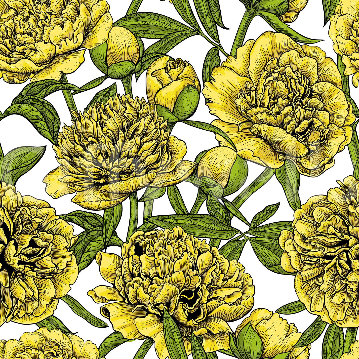 Golden Peony Blossom Wallpaper Wallpaper