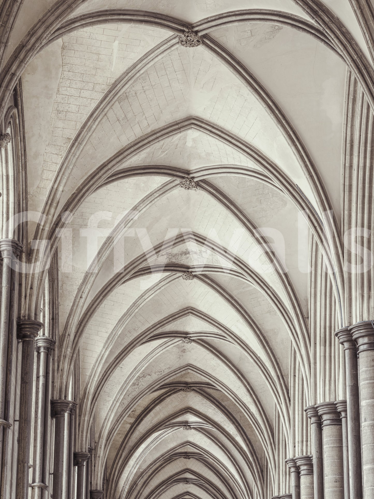Gothic Stone Ribbed Vaulting Wall Mural