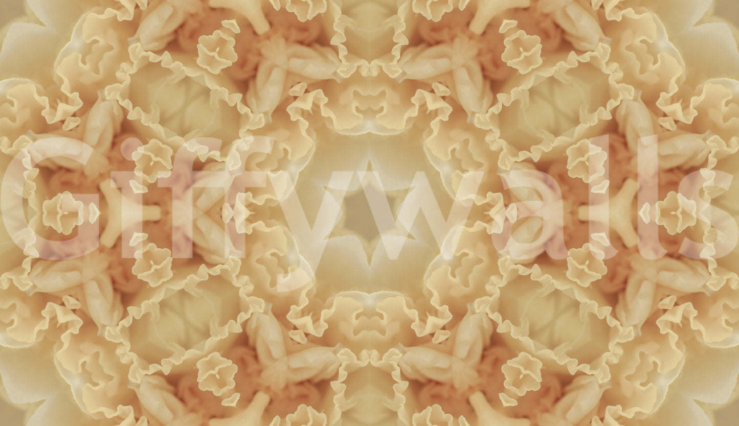 Soft Peach Ruffled Kaleidoscope Wallpaper