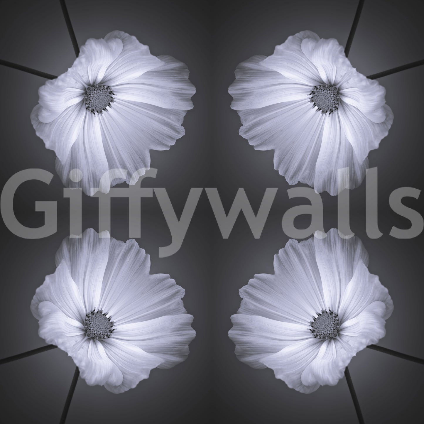 Monochrome Botanical Symmetry Wallpaper
