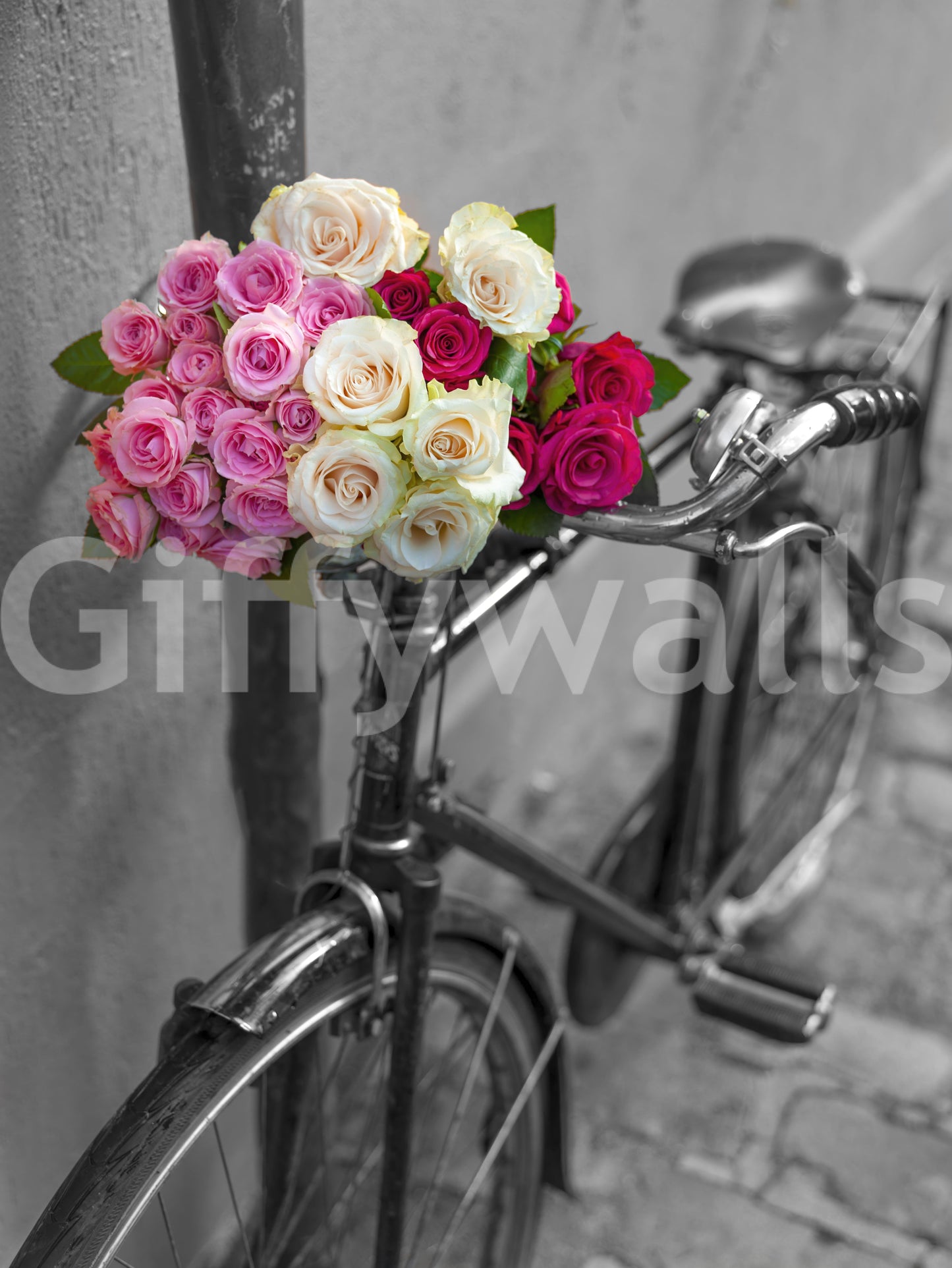 Vintage Floral Bike Journey Wall Mural