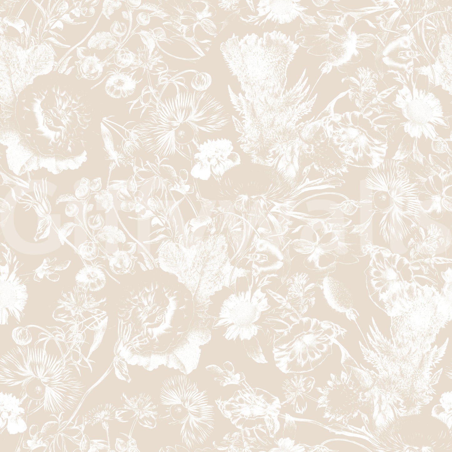 Cream Botanical Line Art Wallpaper