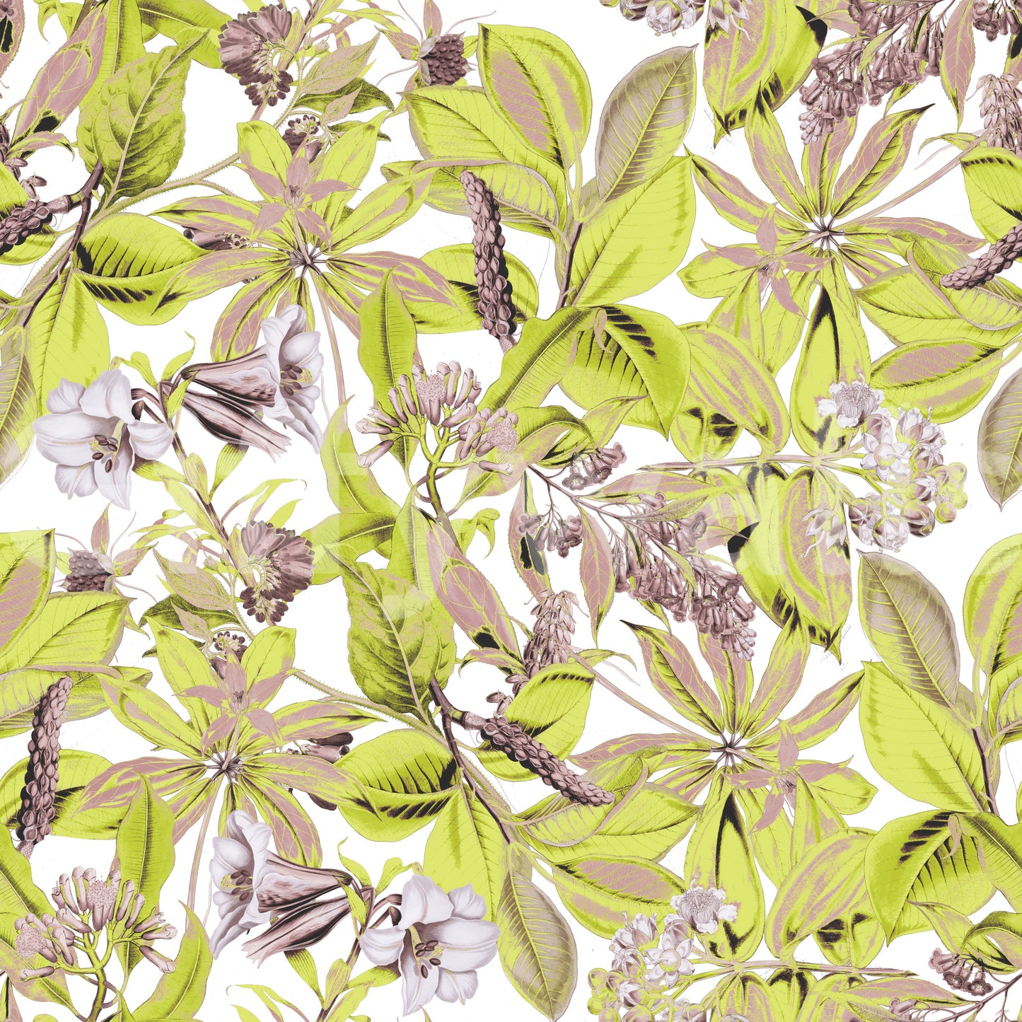 Lush Botanical Garden Foliage Wallpaper