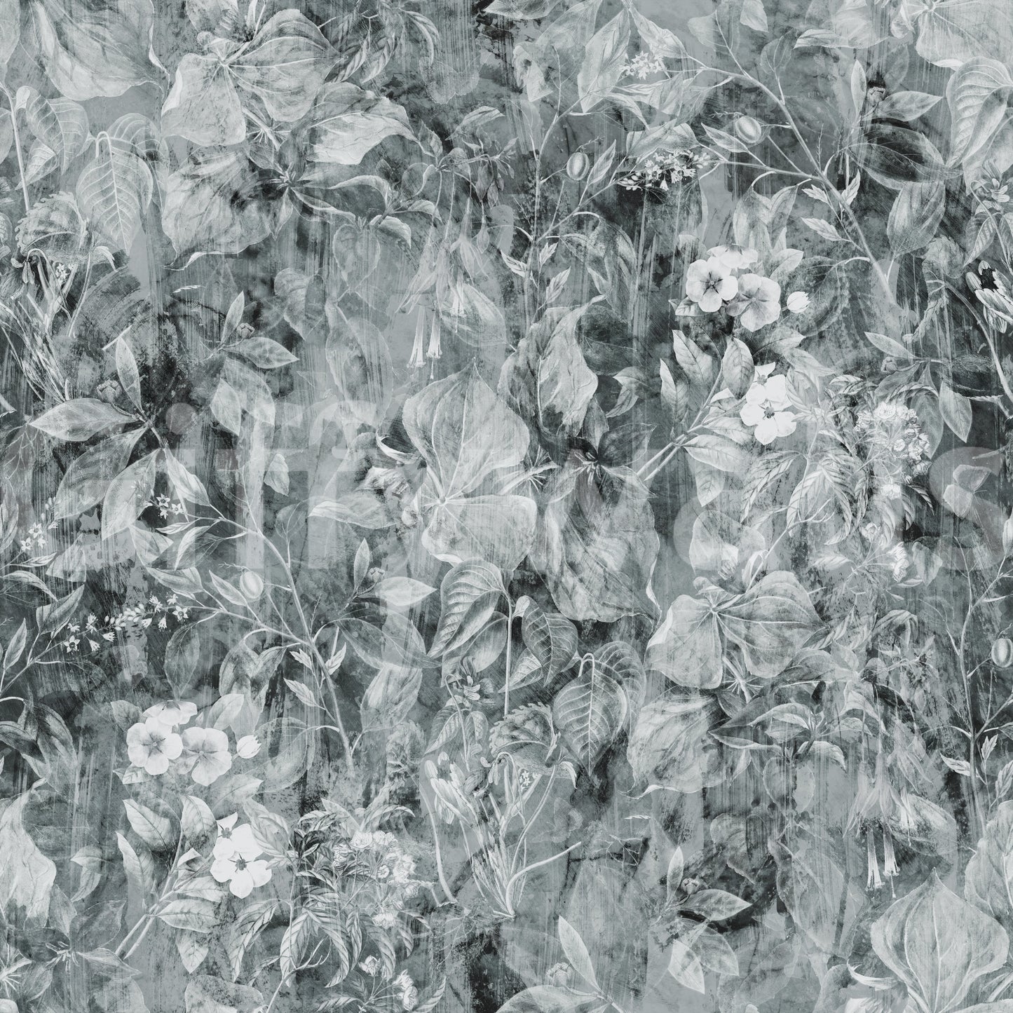 Monochrome Botanical Shadow Wallpaper
