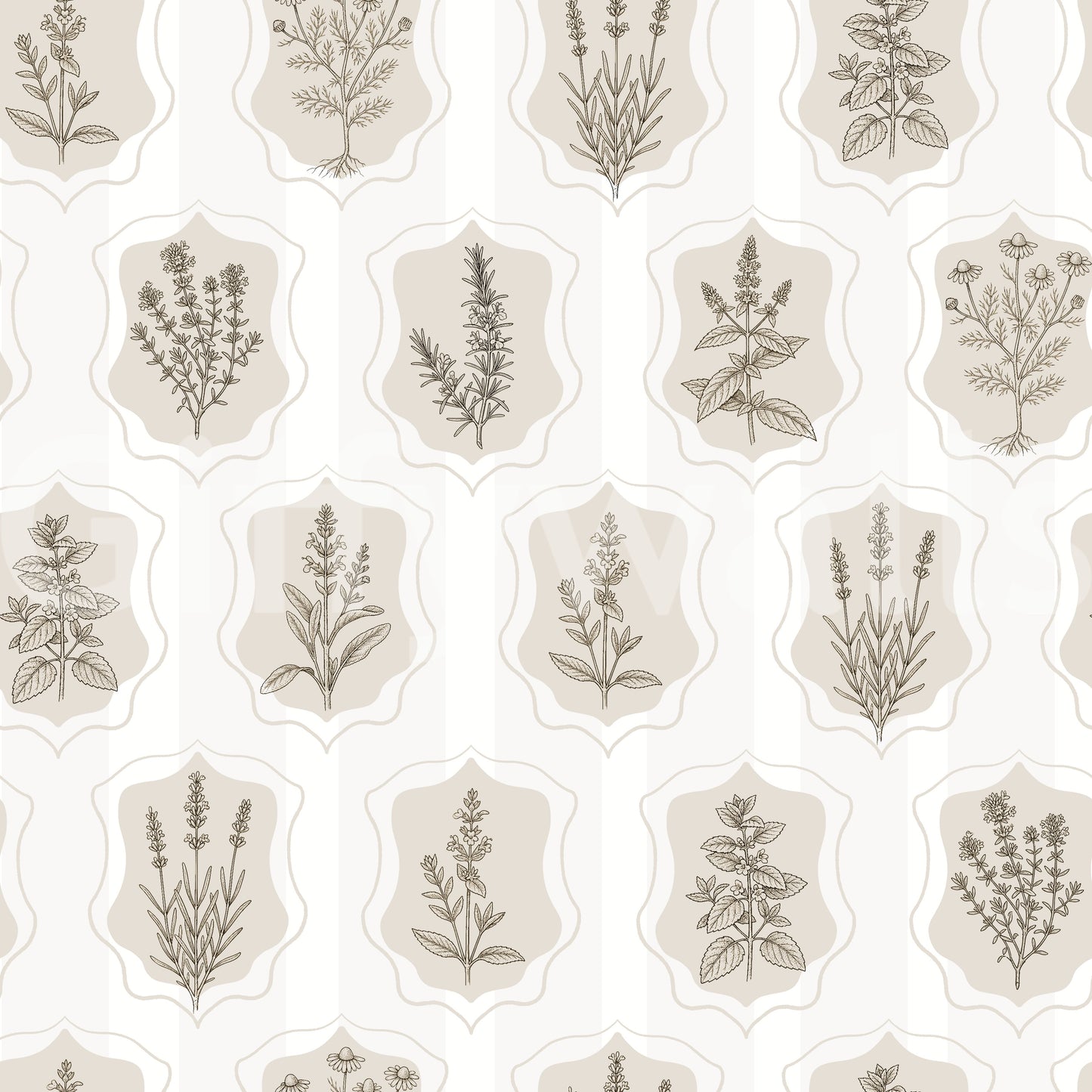 Vintage Botanical Herb Garden Sketch Wallpaper