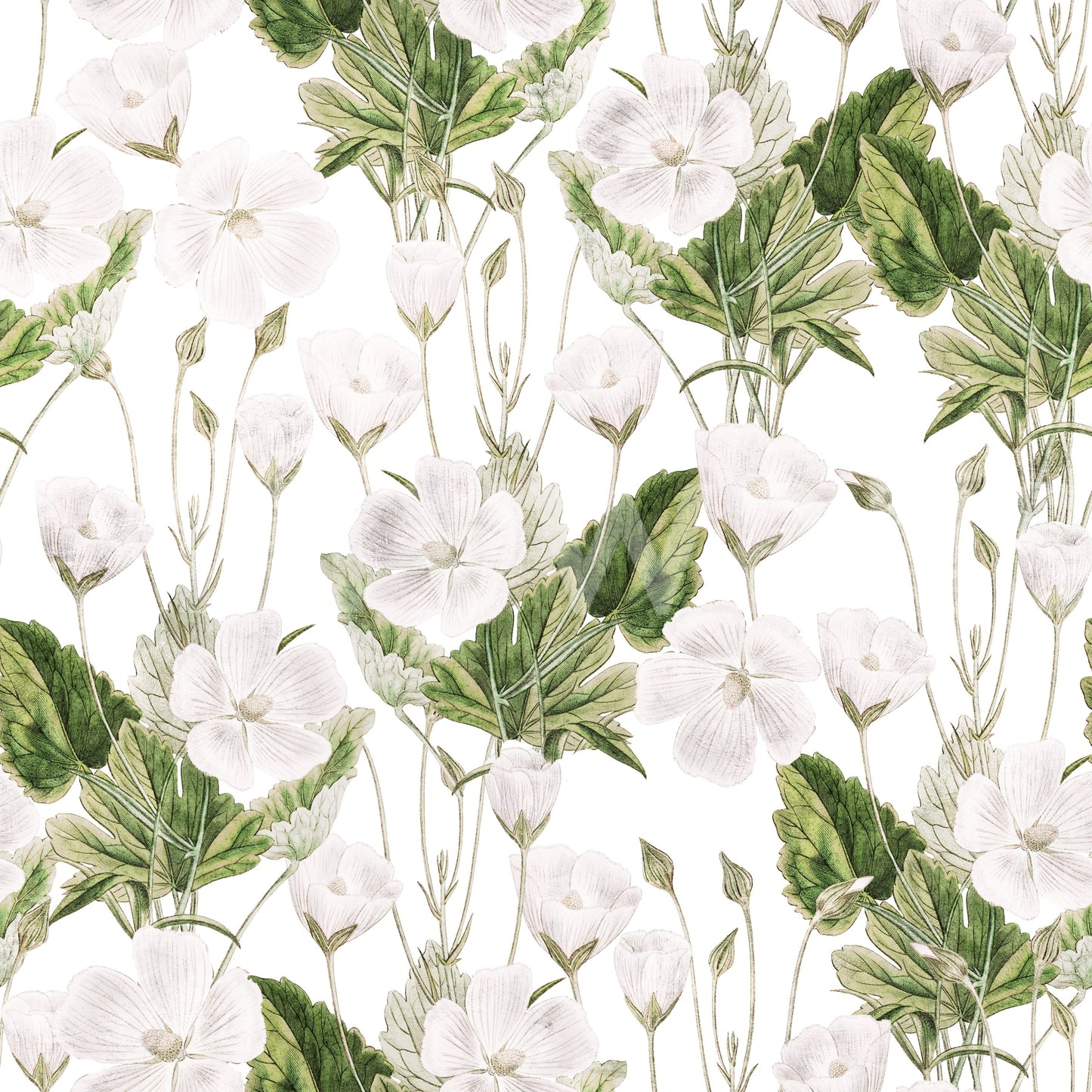 Botanical Meadow Sketch Wallpaper