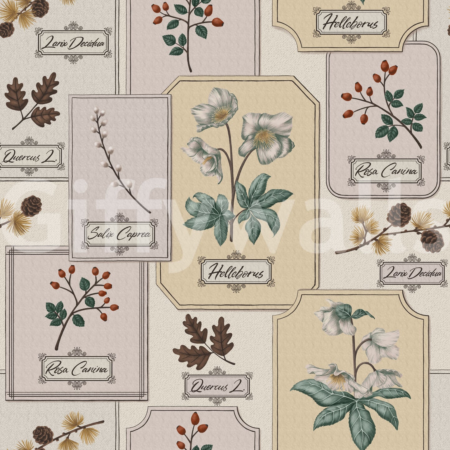 Botanical Winter Specimen Herbarium Wallpaper