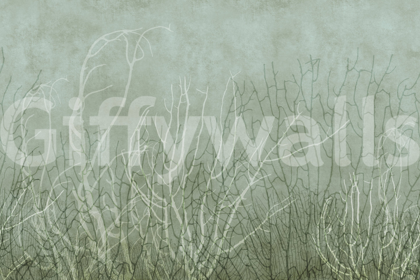 Sea Fans - Pool Wall Mural