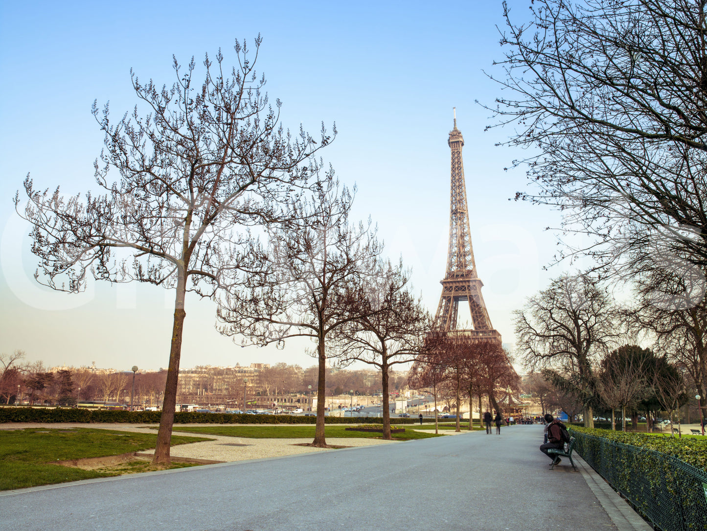 Parisian Morning Pathway Wallpaper