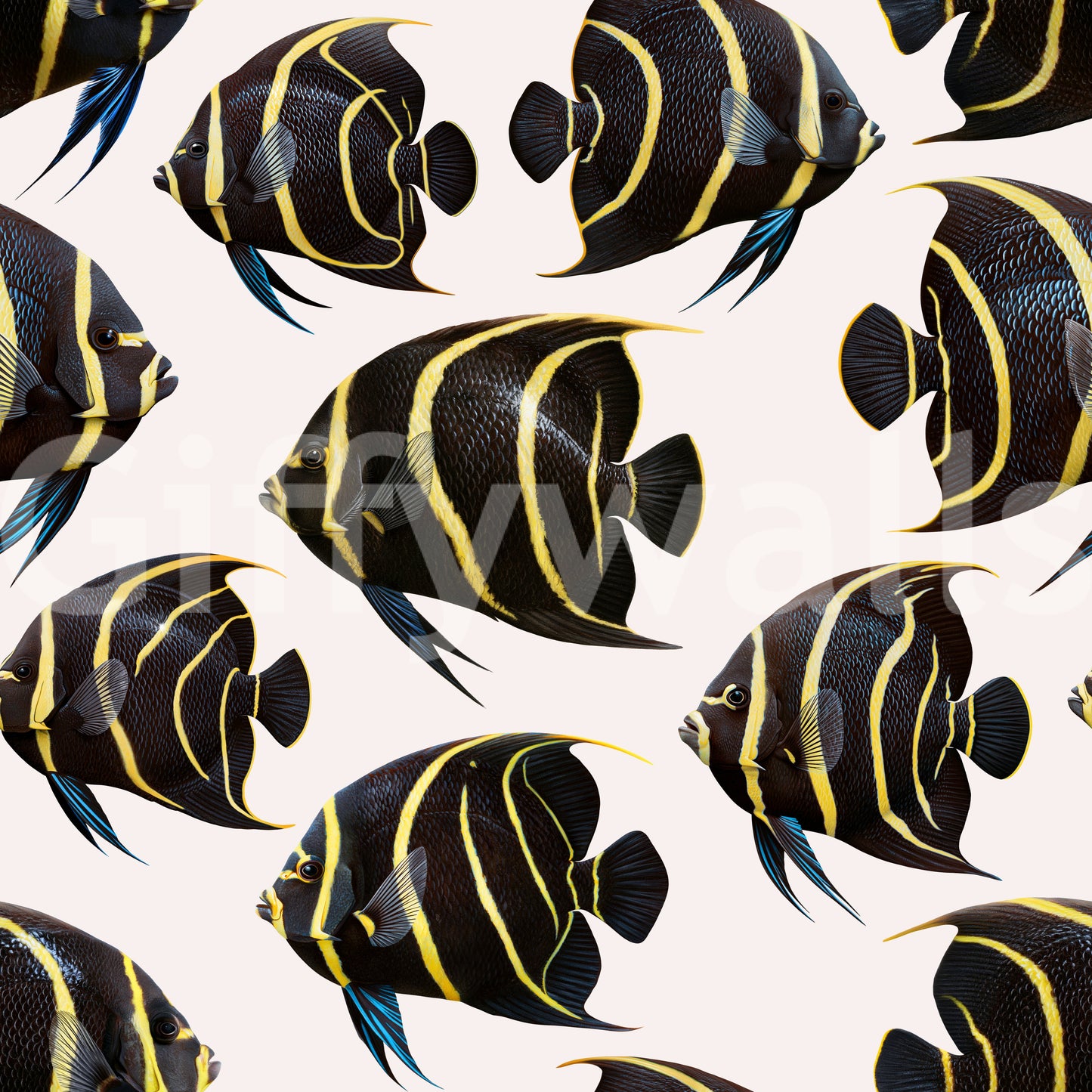 Angel The Fish 01 Wallpaper