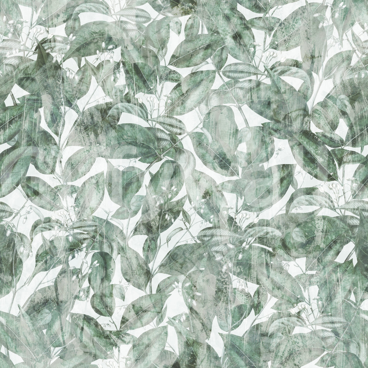 Close-up of Misty Forest Leaf Canopy wallpaper texture GD12325