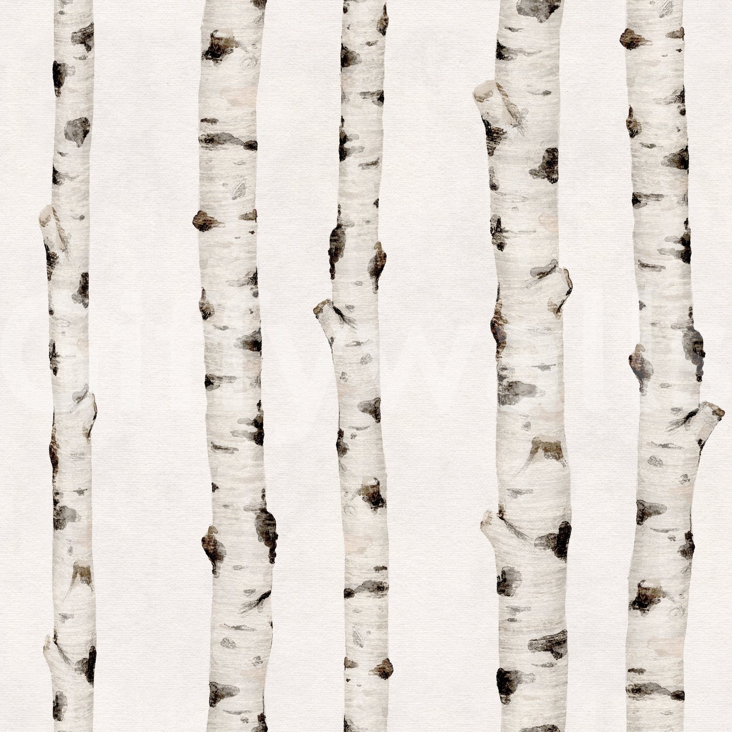 Rustic Birch Forest Vertical Trunks Wallpaper