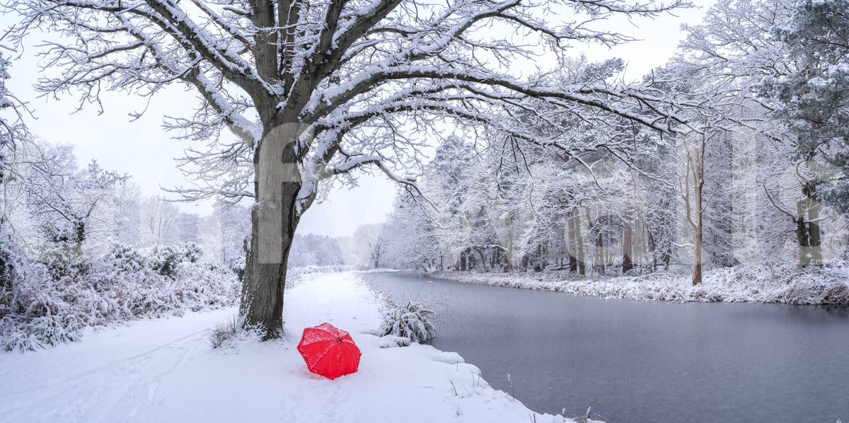 Frozen Canal Winter Wonderland Wall Mural