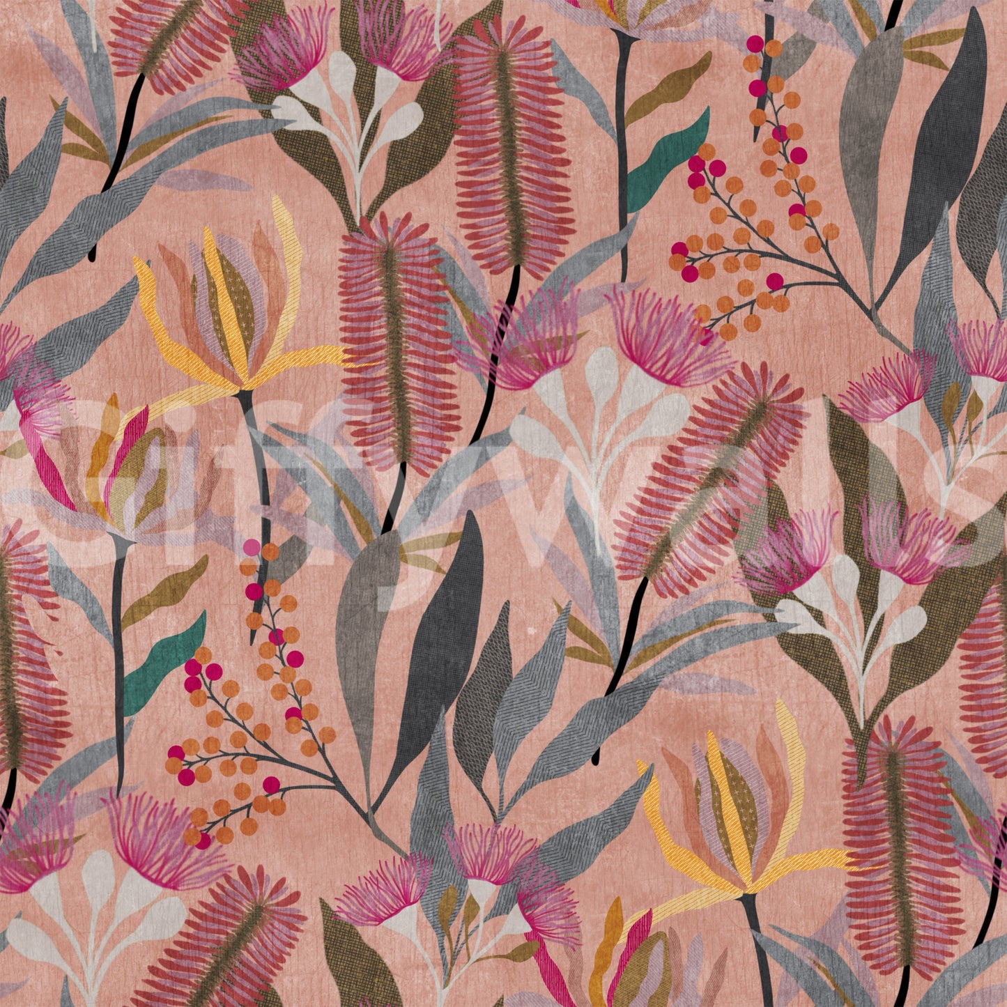 Australian Native Bloom Botanical Wallpaper