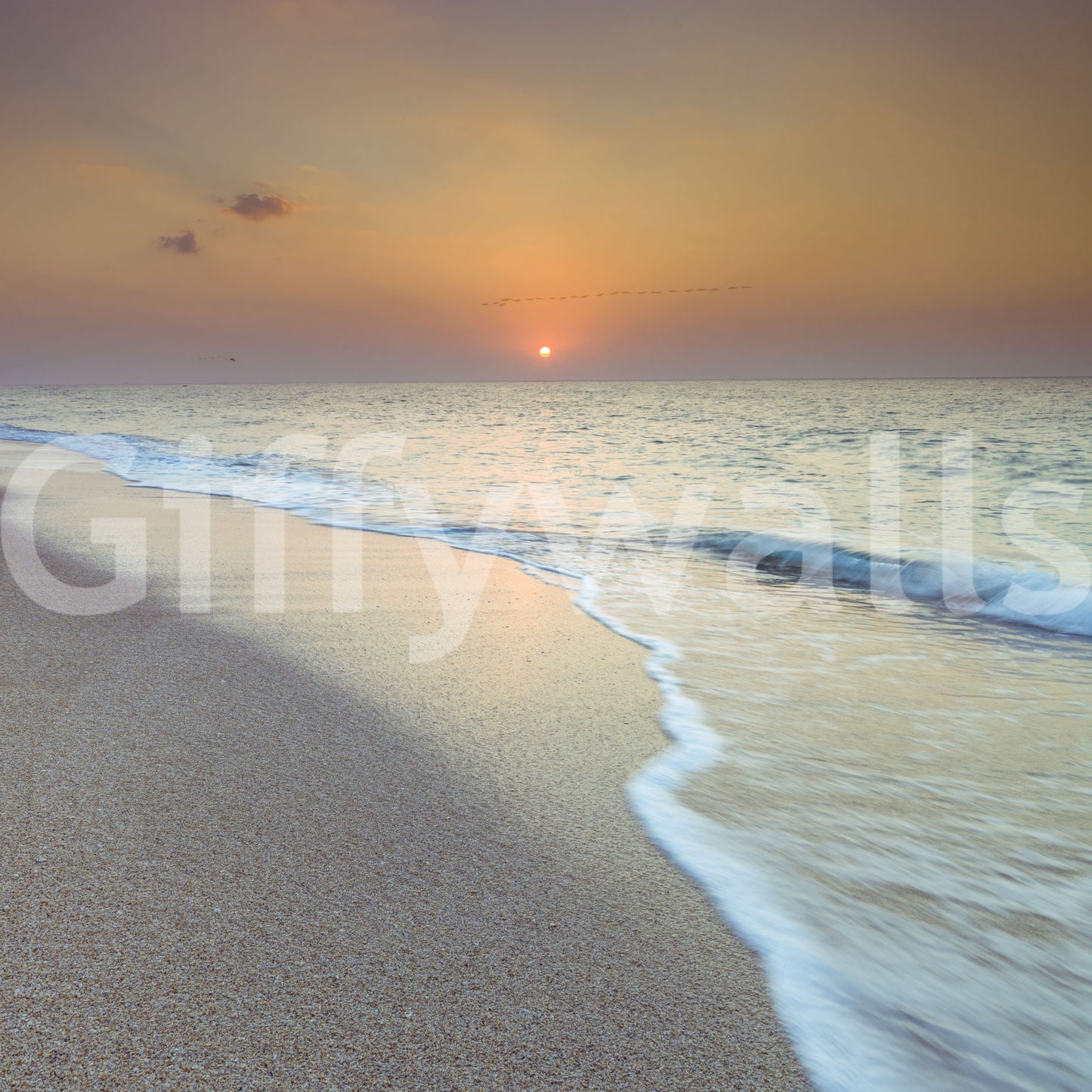 Golden Hour Coastal Hour Wall Mural