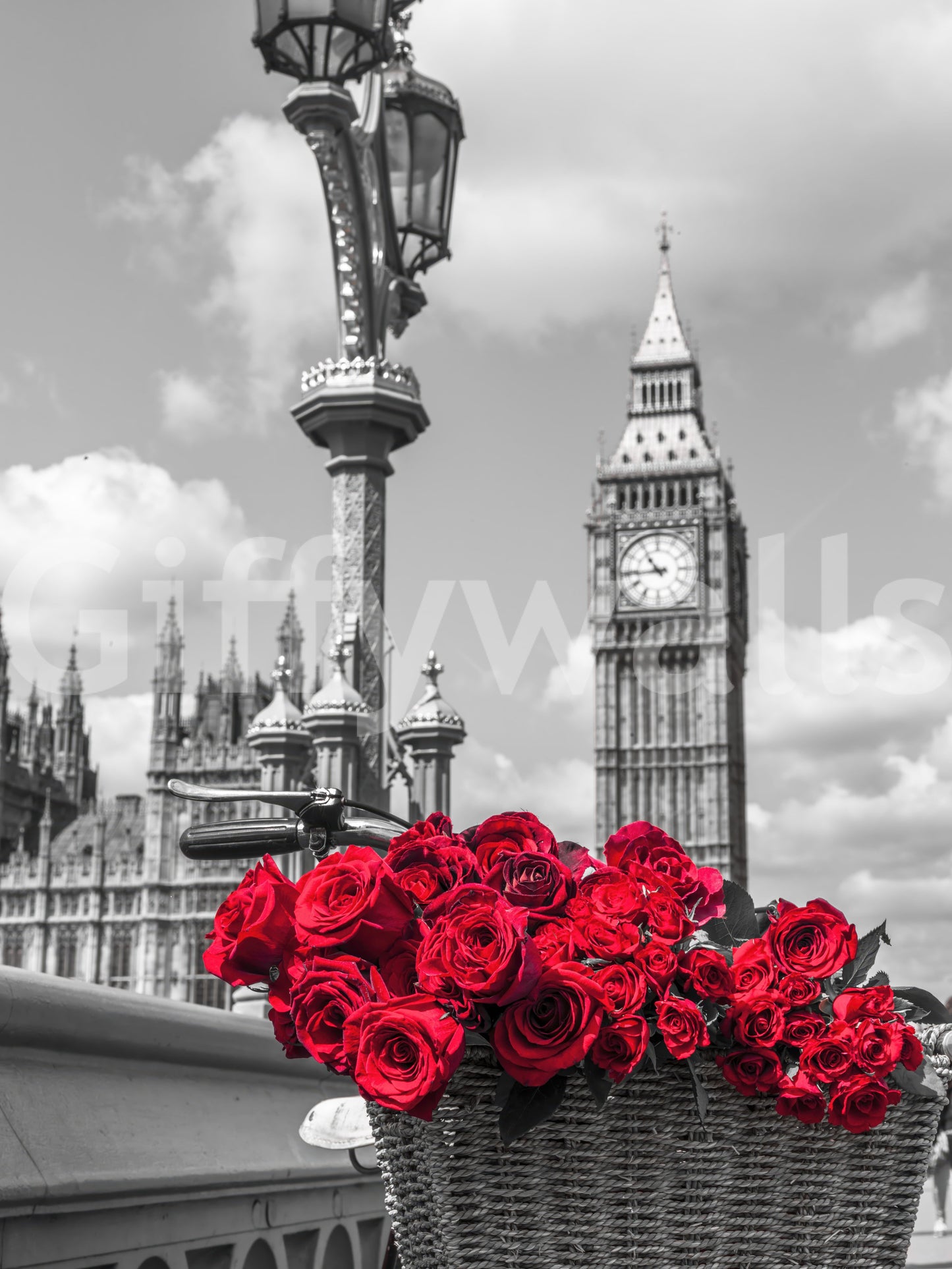 Crimson Blooms in Central London Wall Mural