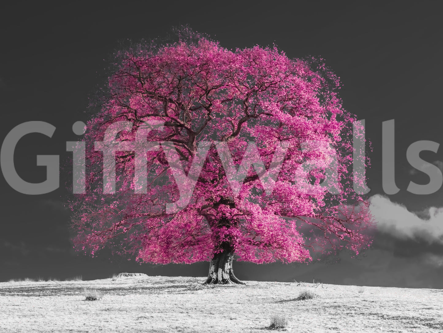Surreal Magenta Foliage Landscape Wall Mural