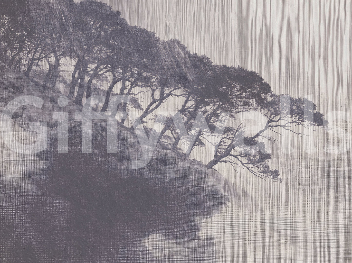 Monochrome Coastal Pines Landscape Wall Mural