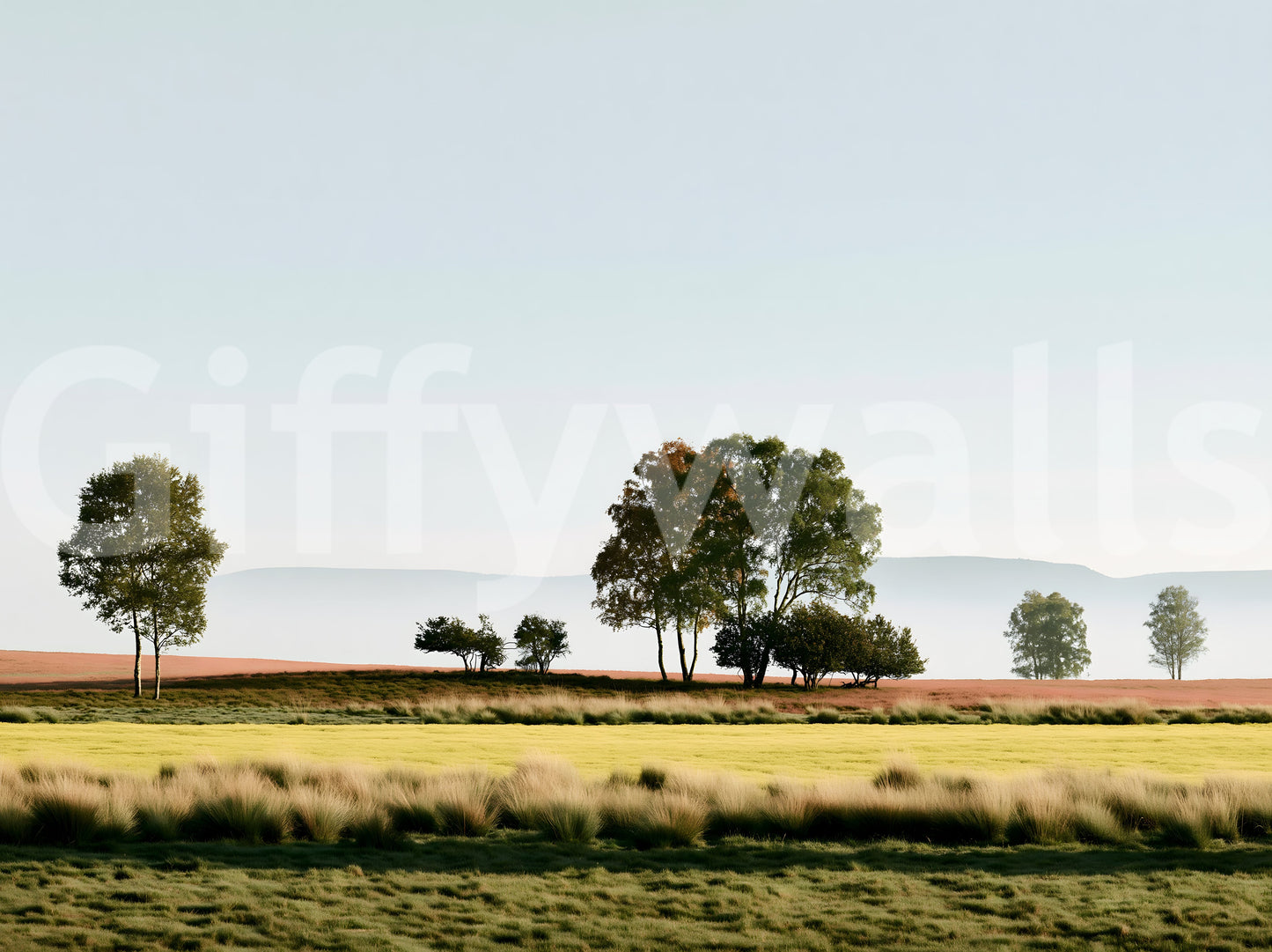 Misty Morning Horizon Landscape Wall Mural