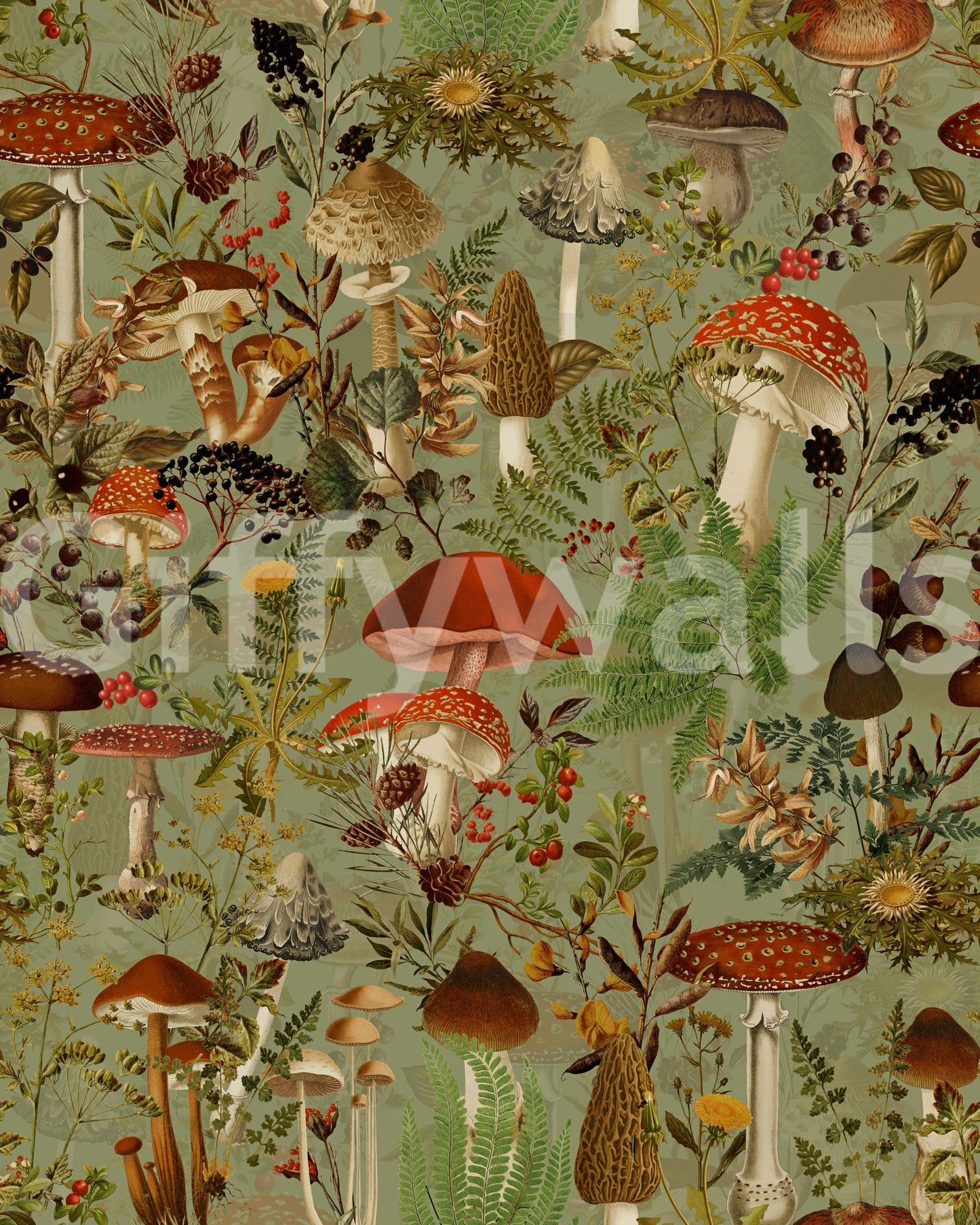 Vintage Woodland Mushroom and Fern Forage Wallpaper
