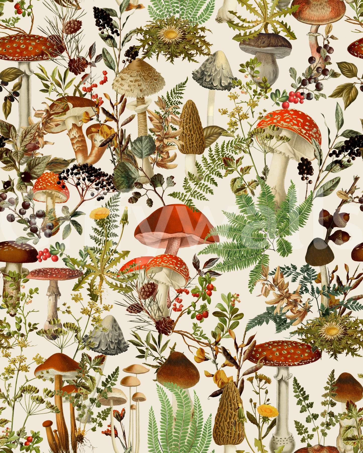 Rustic Toadstool and Woodland Meadow Flora Wallpaper