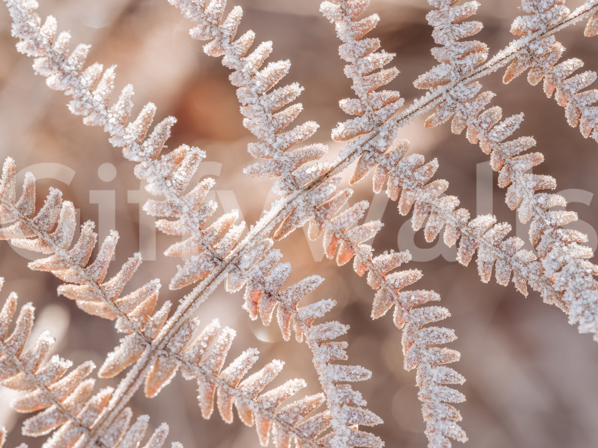 Icy Fern Macro Botanical Texture Wall Mural