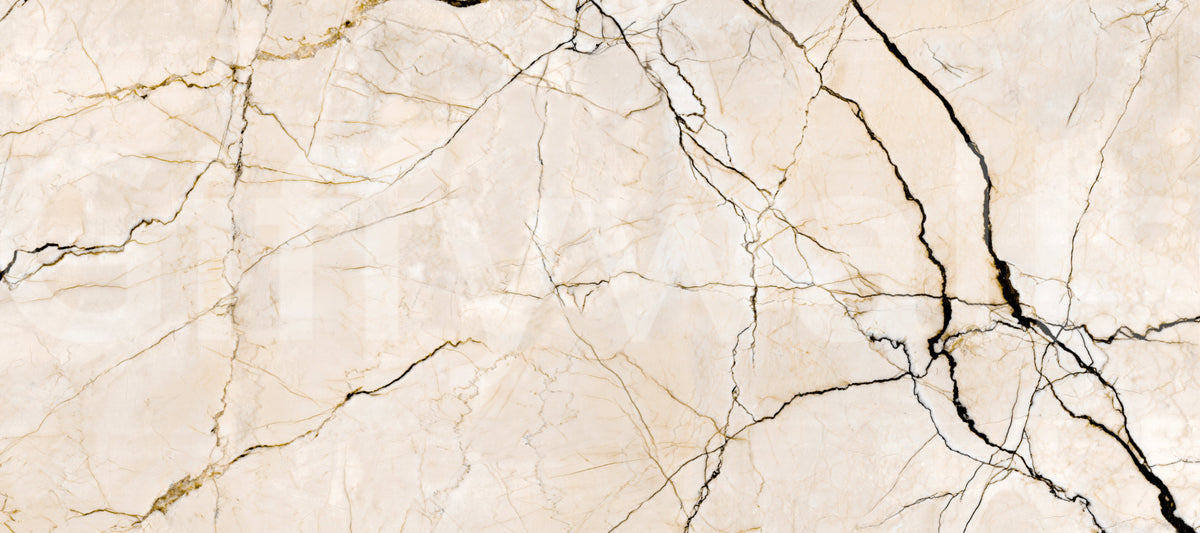 Cream and Black Marble Vein Wall Mural