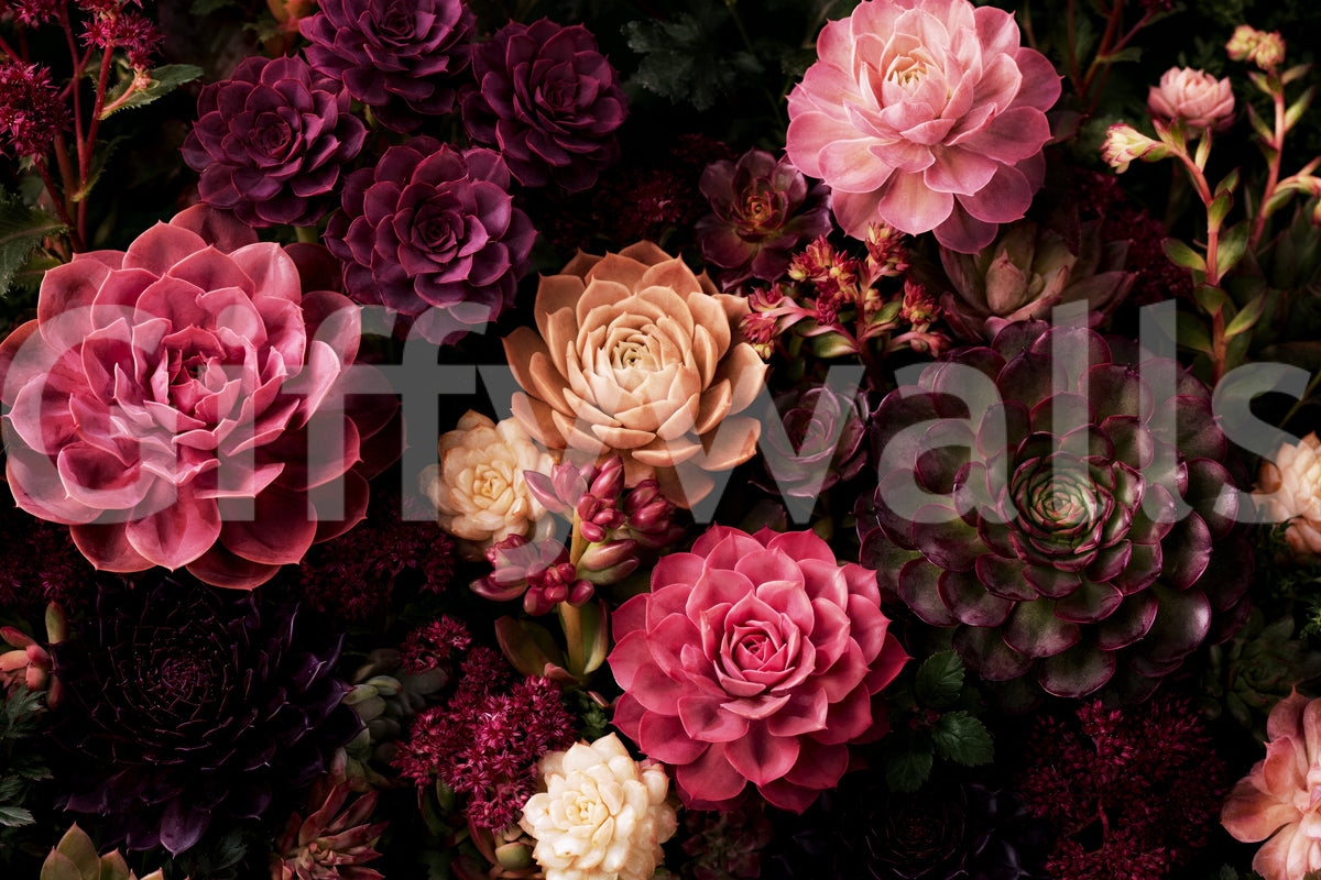 Midnight Succulent Bloom Wall Mural
