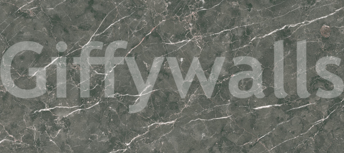 Dark Charcoal Marble Vein Texture Wall Mural