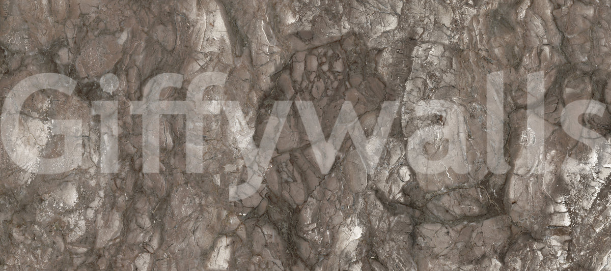 Polished Earthy Brown Stone Texture Wall Mural