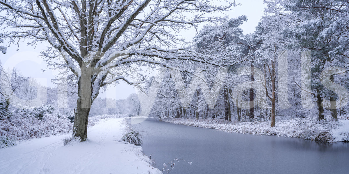 Snowy River Path Wall Mural