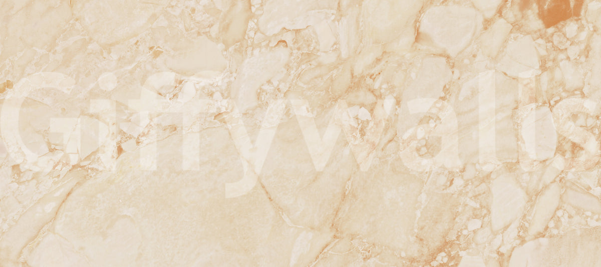 Cream Terrazzo Stone Texture Wall Mural