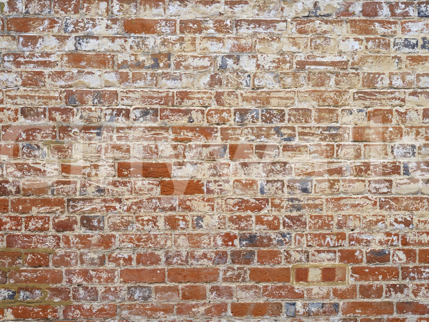 Weathered Brick Charm Wall Mural