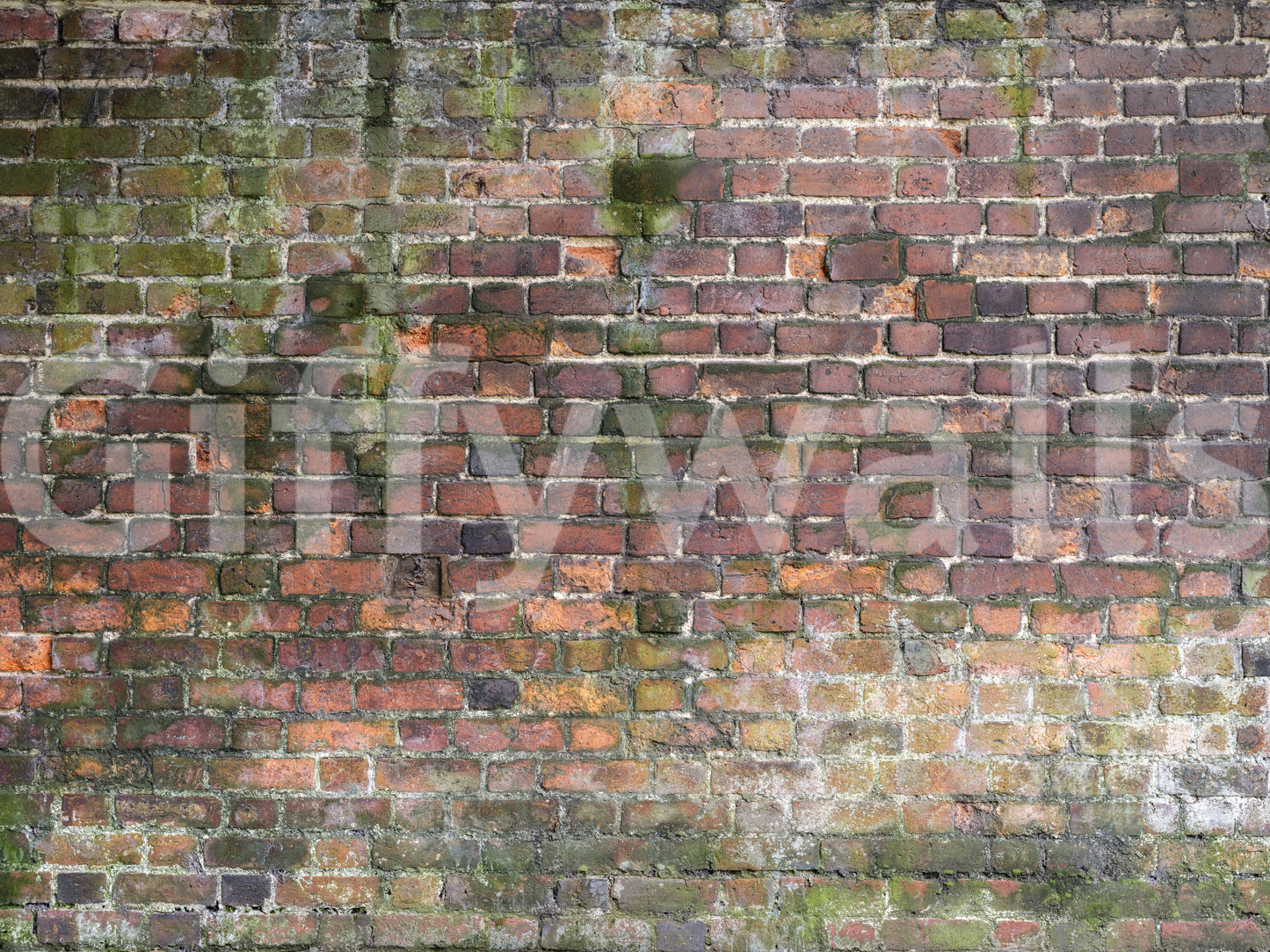 High-resolution weathered surface.