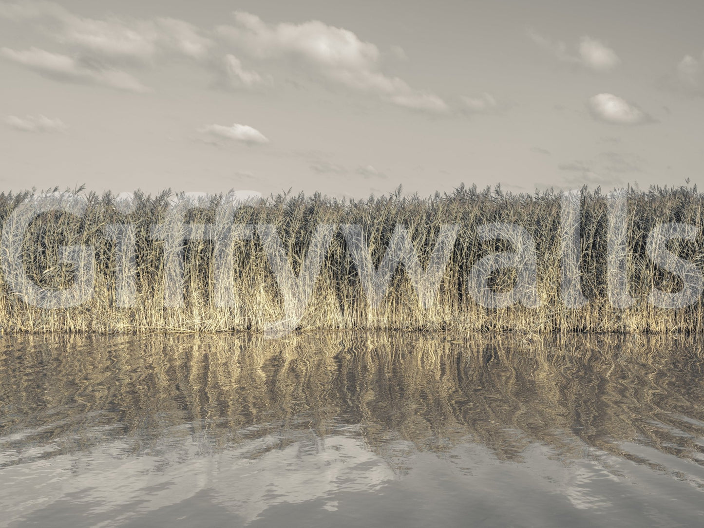 Soft sky and grass print GD3143
