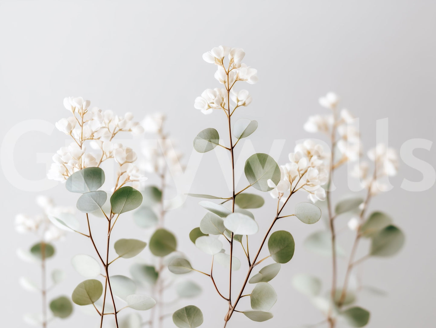 Elegant flower wall mural with fine detail