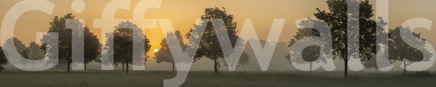 Subtle dawn light wallpaper design, GD2048