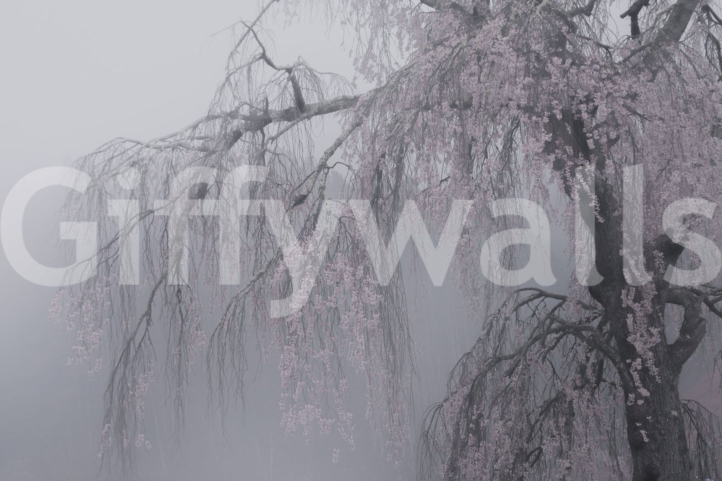 Whispers of Spring Wall Mural